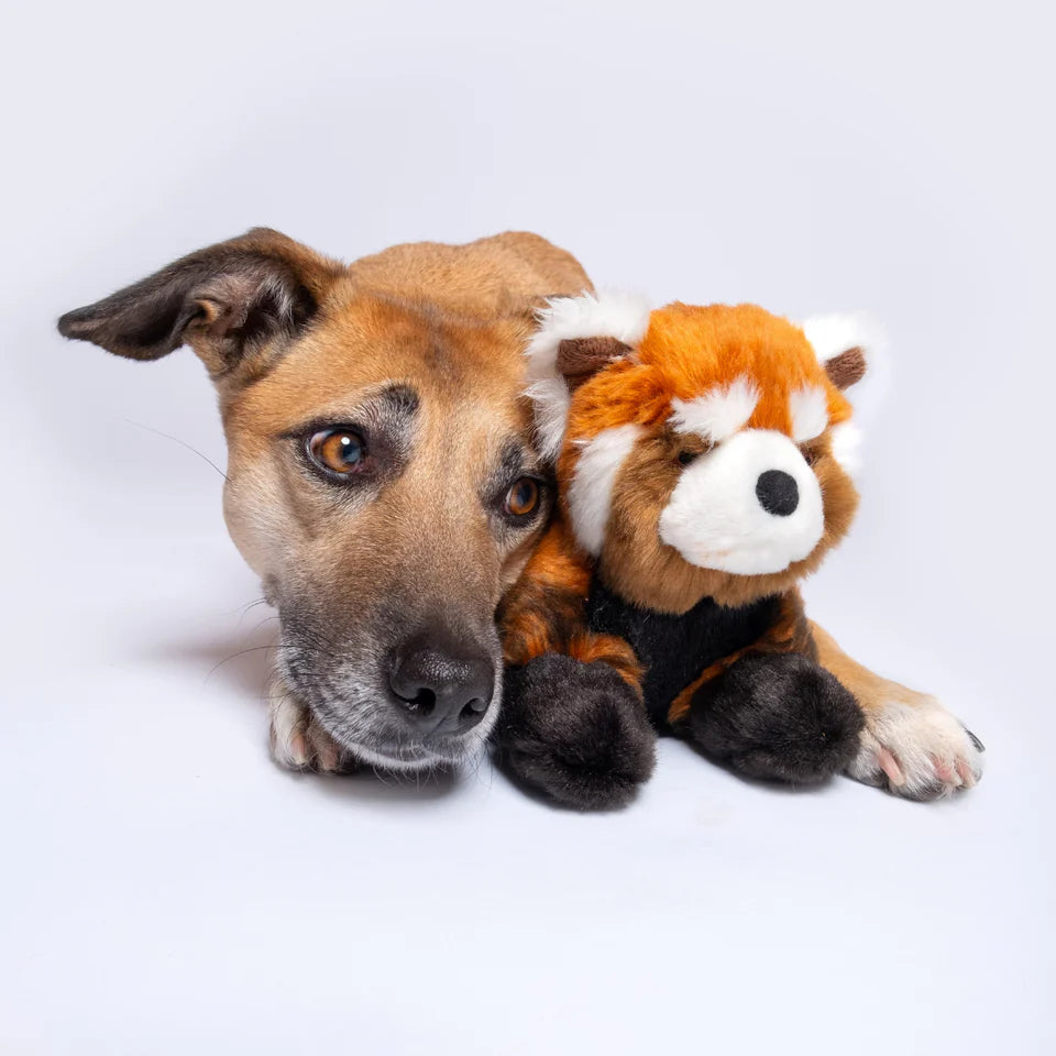 Fluff & Tuff Dog Toy Archie Red Panda