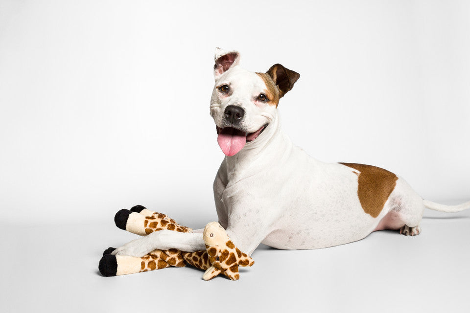 Fluff & Tuff Dog Toy Nelly Giraffe