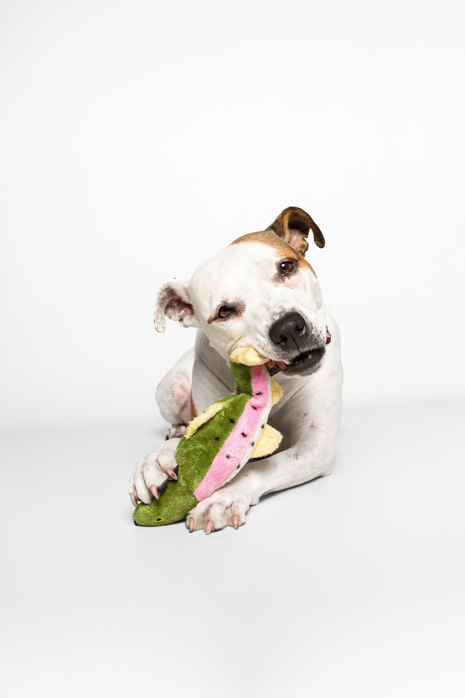 Fluff & Tuff Dog Toy Burt Lake Trout