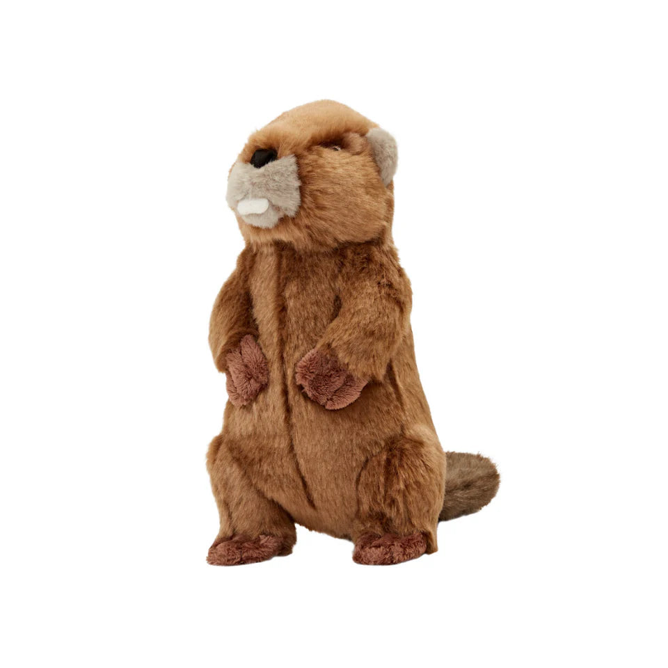 Fluff & Tuff Dog Toy Troy Beaver