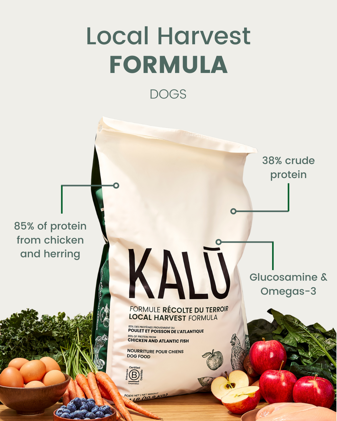 Kalu Dog Local Harvest