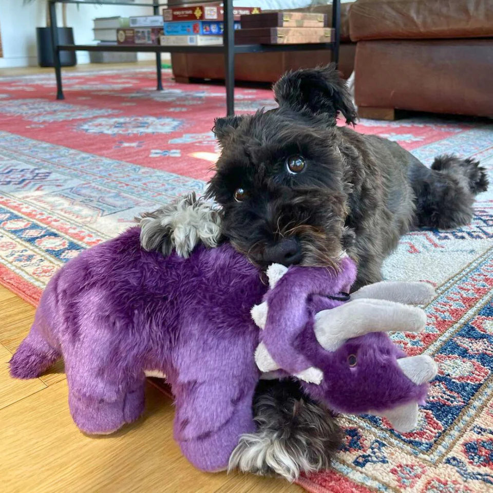 Fluff & Tuff Dog Toy Charlie Triceratops