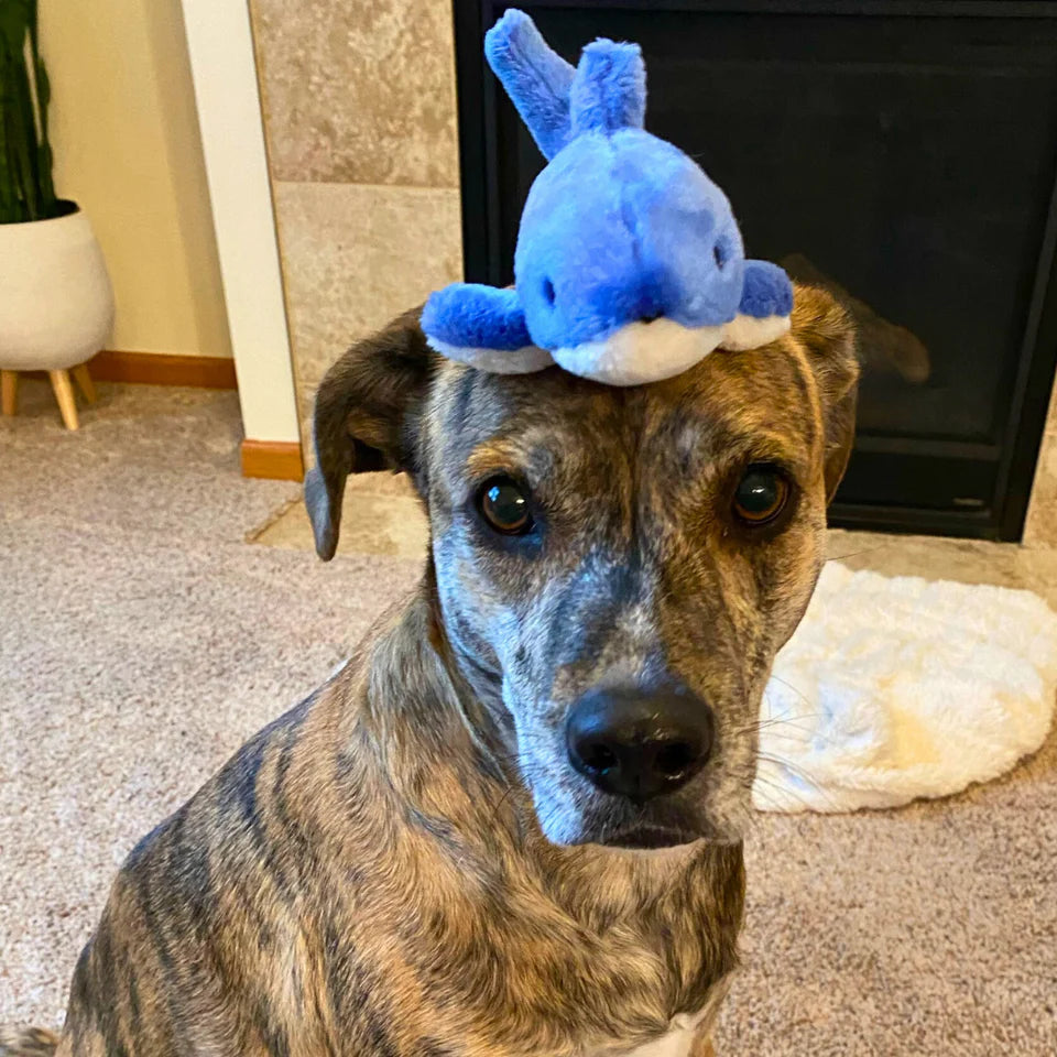 Fluff & Tuff Dog Toy Baby Bruce Shark
