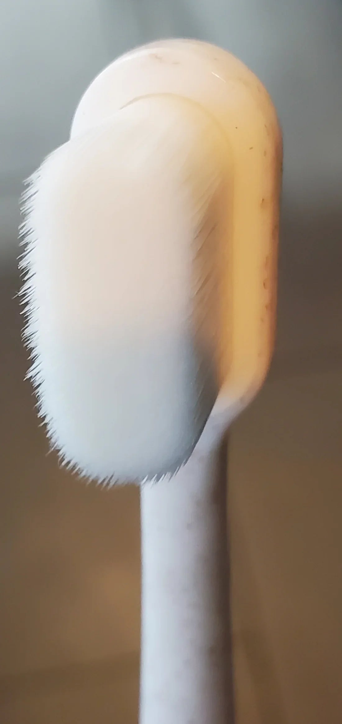 Wag & Bright Puppy Polisher Eco Toothbrush FINAL SALE
