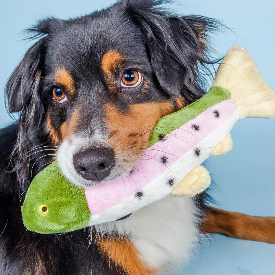 Fluff & Tuff Dog Toy Burt Lake Trout