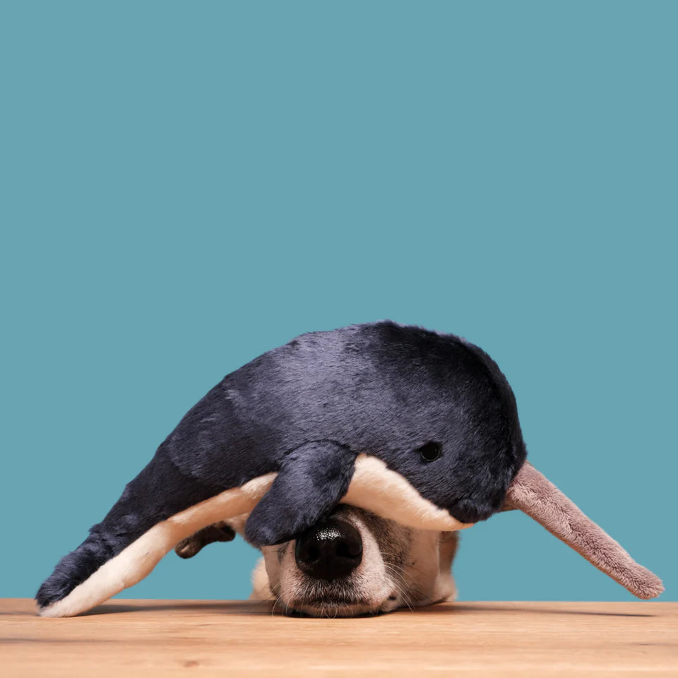 Fluff & Tuff Dog Toy Bleu Narwhal