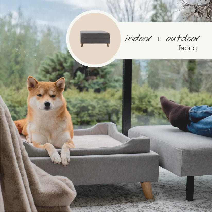 4 Cats & Dogs Otto Pet Ottoman *SPECIAL ORDER*