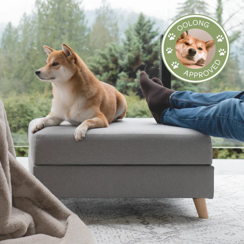 4 Cats & Dogs Otto Pet Ottoman *SPECIAL ORDER*