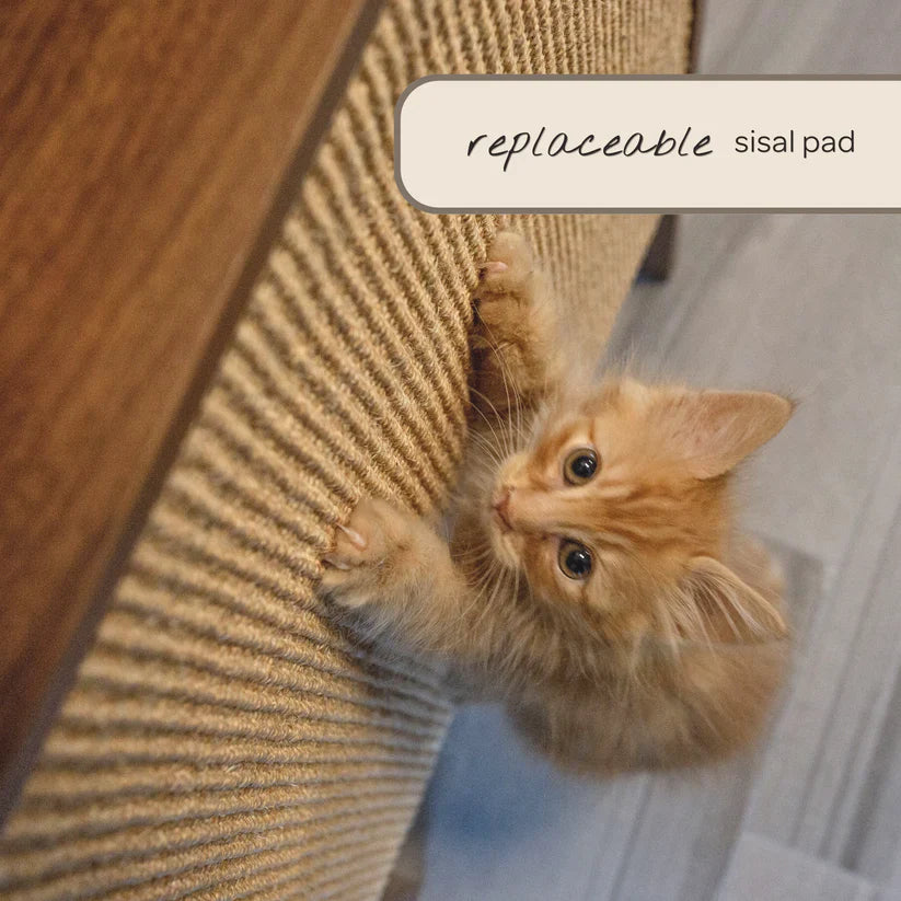 4 Cats & Dogs Wesley Wall Scratcher *SPECIAL ORDER*