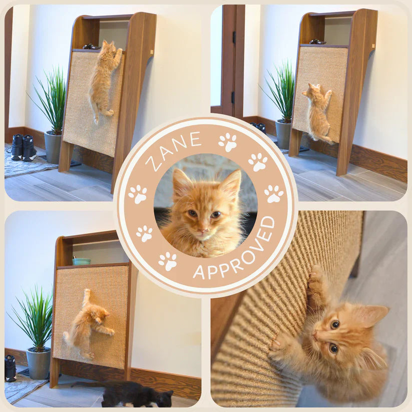4 Cats & Dogs Wesley Wall Scratcher *SPECIAL ORDER*