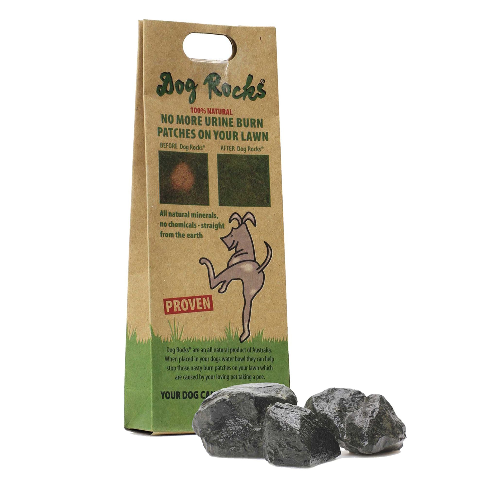 Dog Rocks FINAL SALE