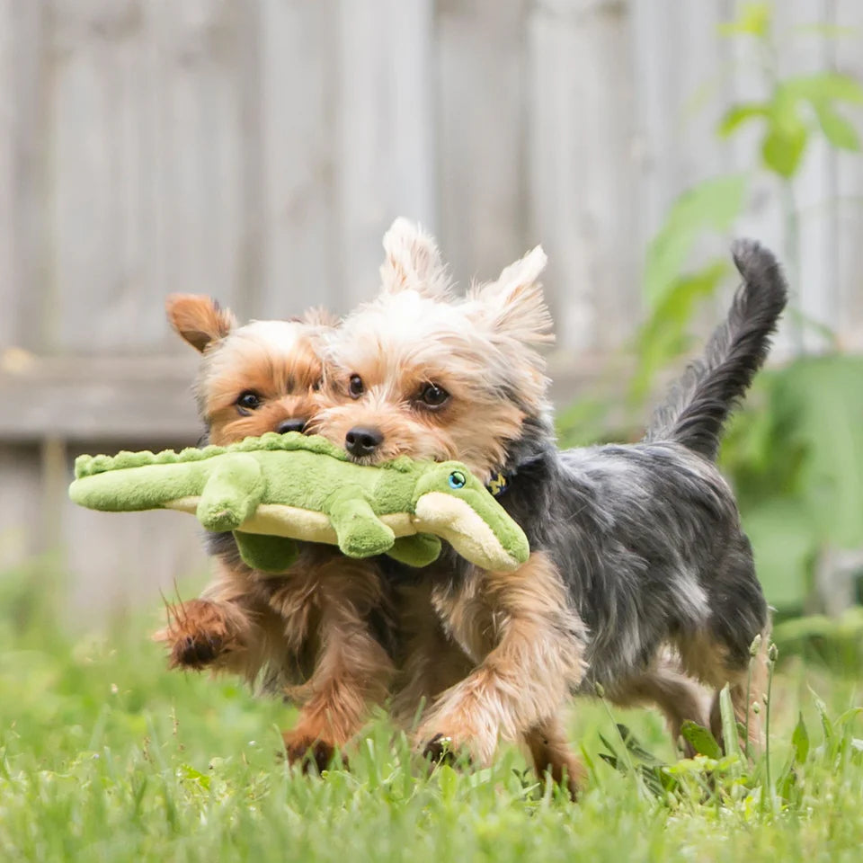 Fluff & Tuff Dog Toy Savannah Baby Gator