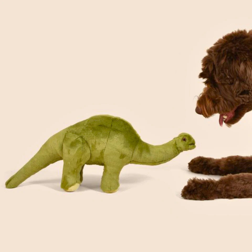 Fluff & Tuff Dog Toy Emily Brontosaurus