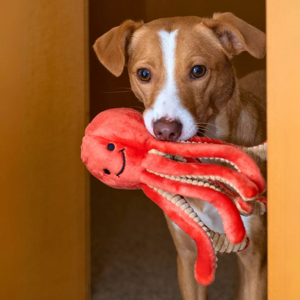 Fluff & Tuff Dog Toy Squirt Octopus