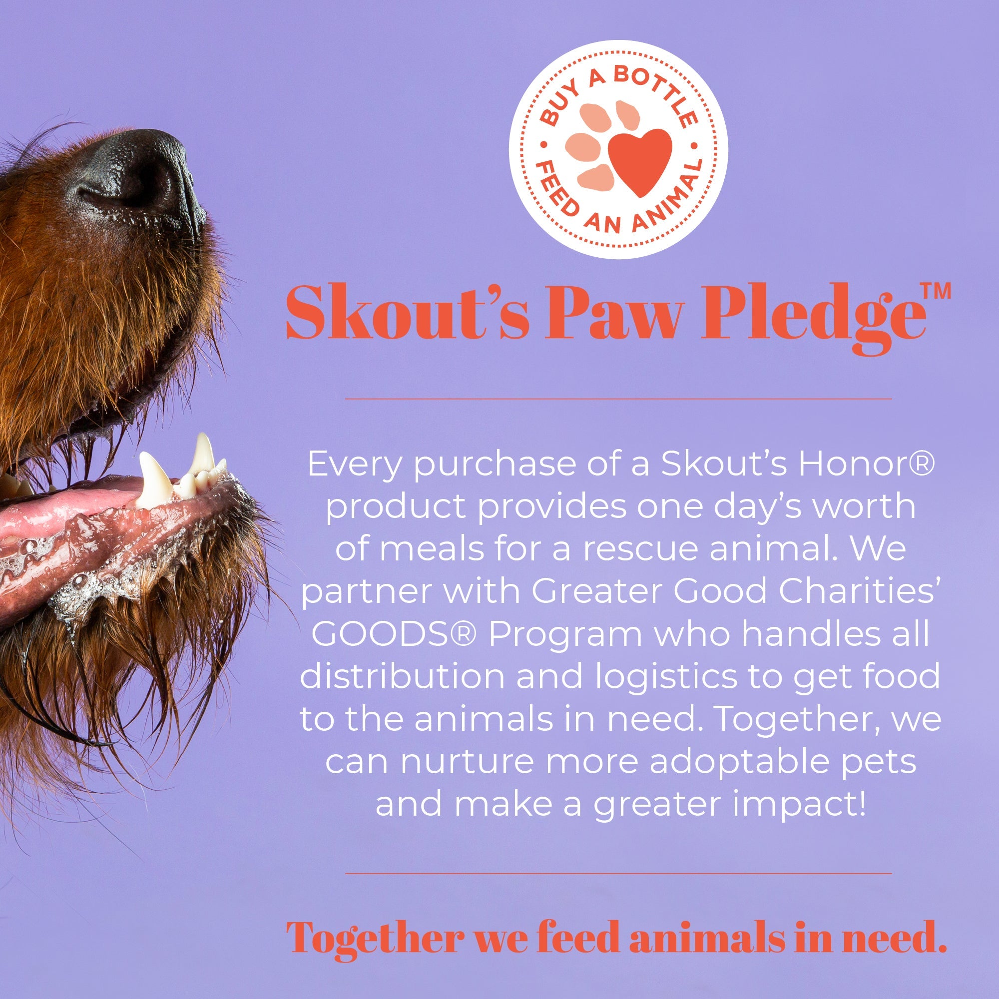 Skout's Honor Probiotic Daily Use Detangler Dog of the Woods FINAL SALE
