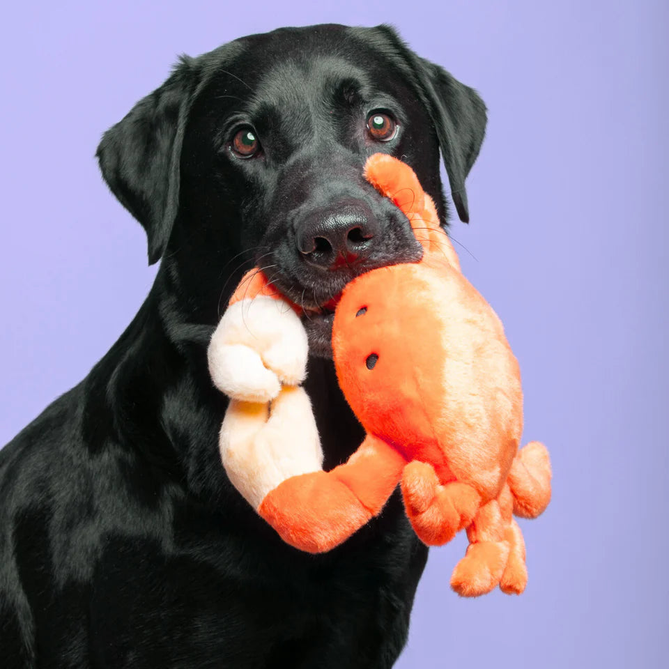Fluff & Tuff Dog Toy Phyllis Crab