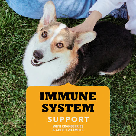 Acana Dog Treat Chewy Strips Immune System Chicken