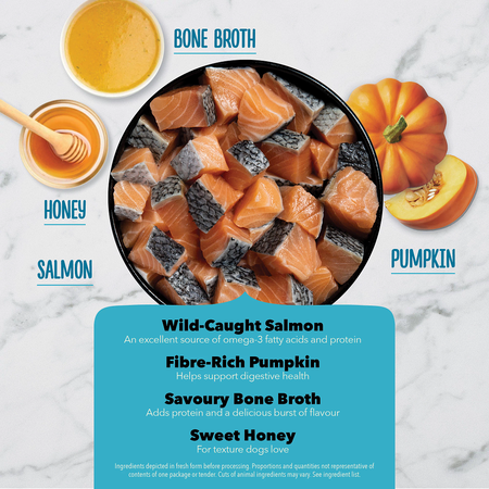 Acana Dog Treat Chewy Strips Skin. Coat & Digestive Salmon