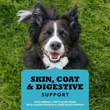 Acana Dog Treat Chewy Strips Skin. Coat & Digestive Salmon