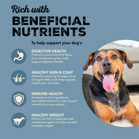 Acana Dog Healthy Grains Sea to Stream