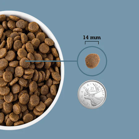 Acana Dog Healthy Grains Sea to Stream