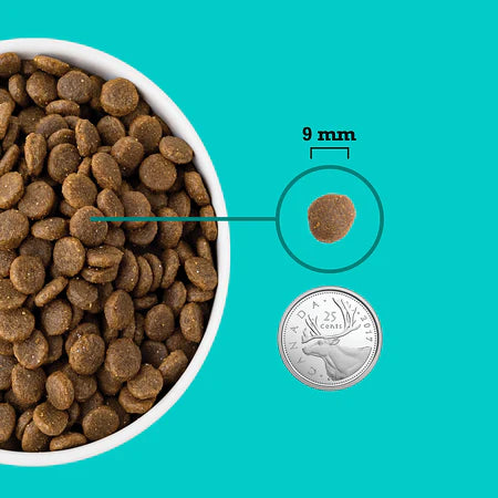 Acana Dog Healthy Grains Puppy Sea & Farm