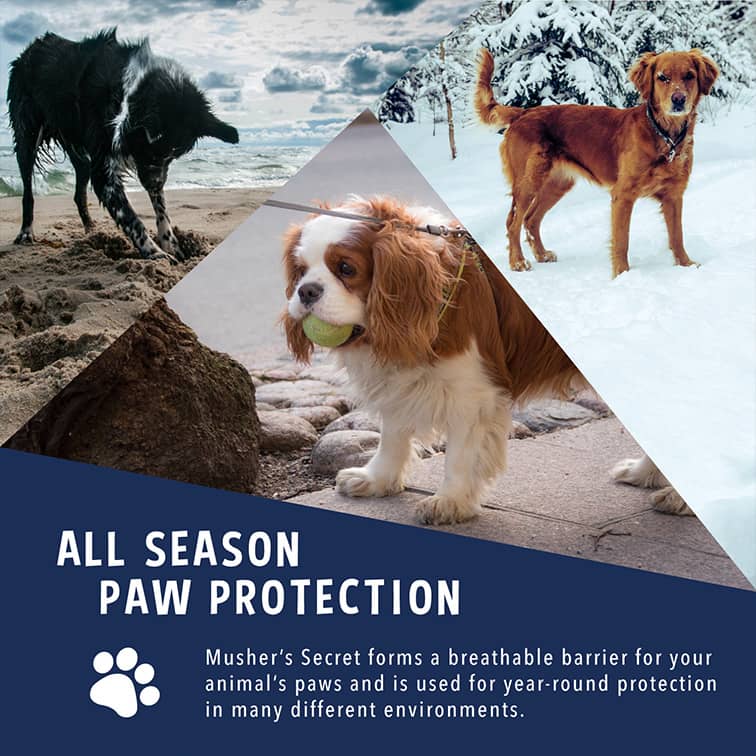 Musher's Secret CLEARANCE FINAL SALE