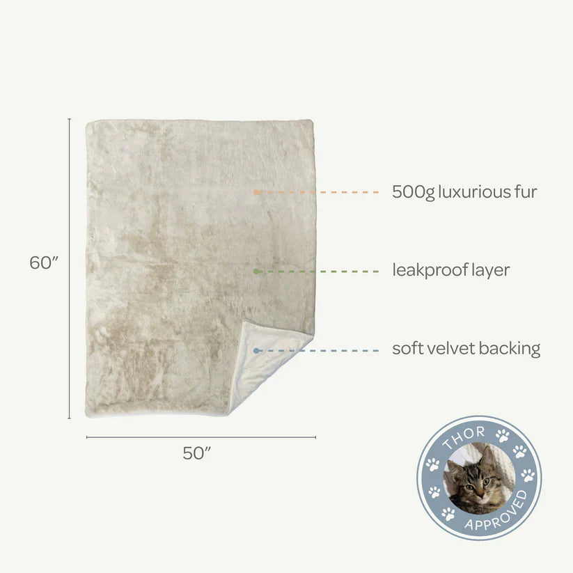 4 Cats & Dogs Pixie Throw *SPECIAL ORDER*