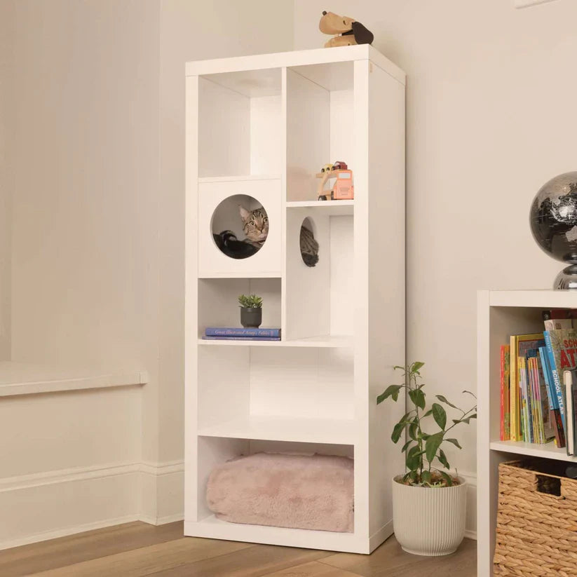 4 Cats & Dogs Cliff Jr. Cat Tree Book Shelf *SPECIAL ORDER*
