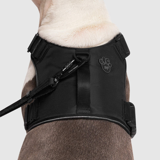 Canada Pooch Core Complete Control Harness CLEARANCE FINAL SALE