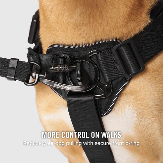 Canada Pooch Core Complete Control Harness CLEARANCE FINAL SALE