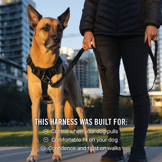 Canada Pooch Core Complete Control Harness CLEARANCE FINAL SALE