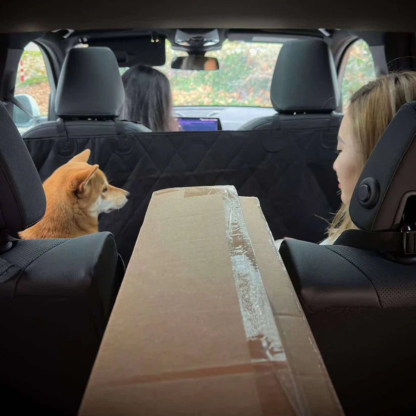 4 Cats & Dogs Jet Car Seat Jacket *SPECIAL ORDER*