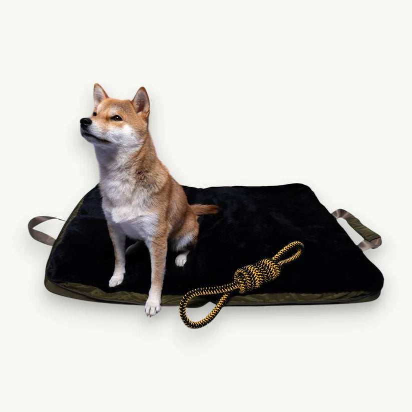 4 Cats & Dogs Gus Travel Pet Bed *SPECIAL ORDER*