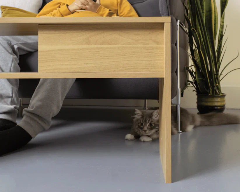 4 Cats & Dogs Jewl Nesting Table + Scratcher *SPECIAL ORDER*