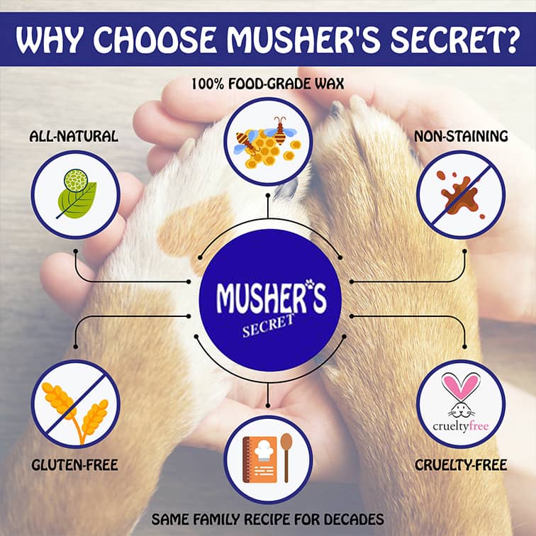 Musher's Secret CLEARANCE FINAL SALE