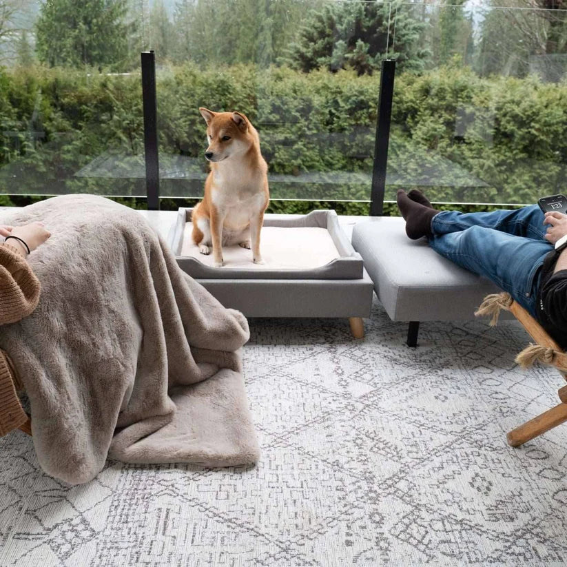 4 Cats & Dogs Otto Pet Ottoman *SPECIAL ORDER*