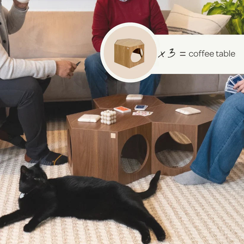 4 Cats & Dogs Suki Stool & Shelf *SPECIAL ORDER*