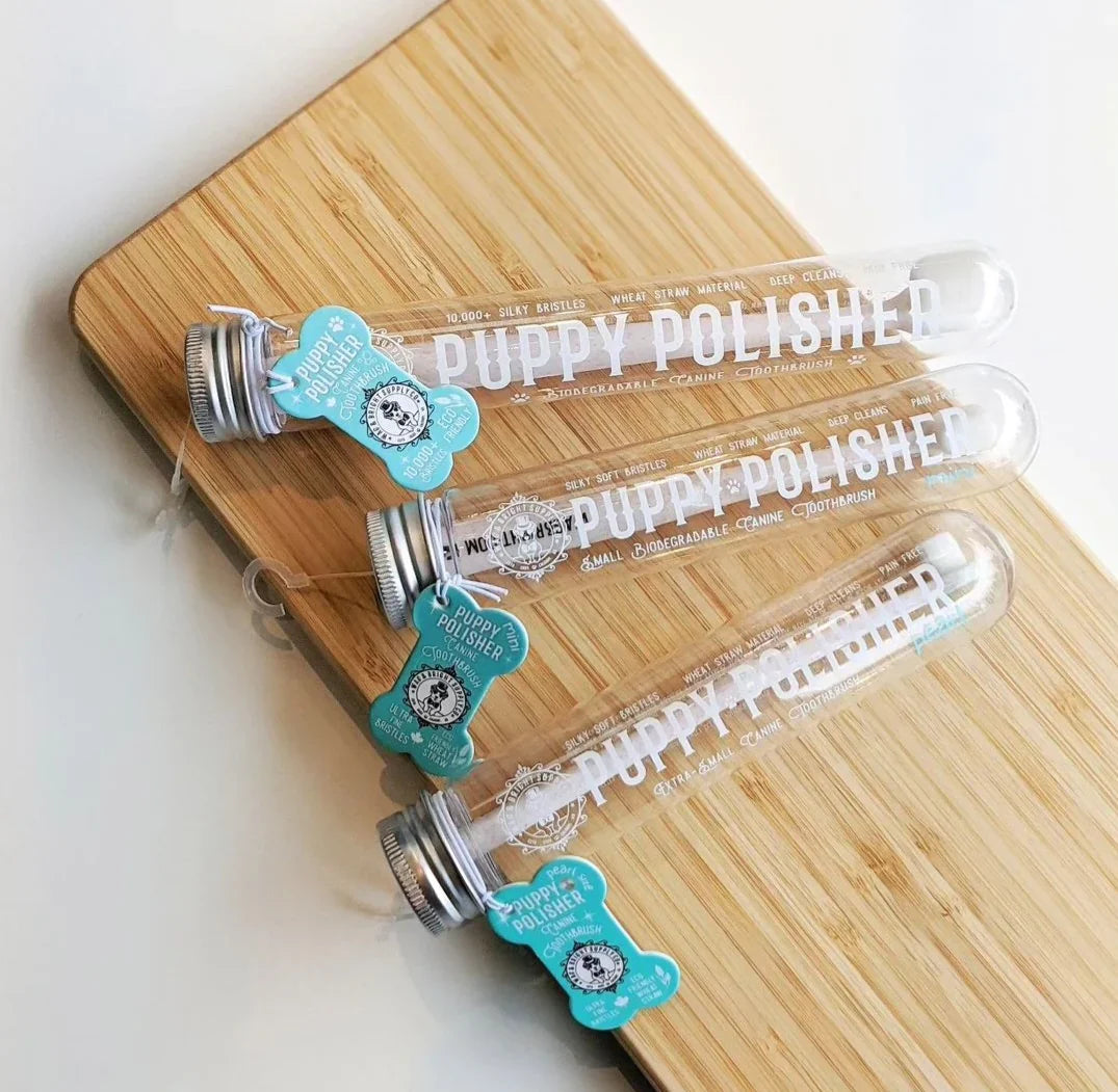 Wag & Bright Puppy Polisher Eco Toothbrush FINAL SALE