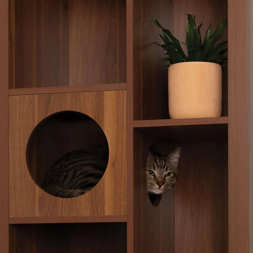 4 Cats & Dogs Cliff Jr. Cat Tree Book Shelf *SPECIAL ORDER*