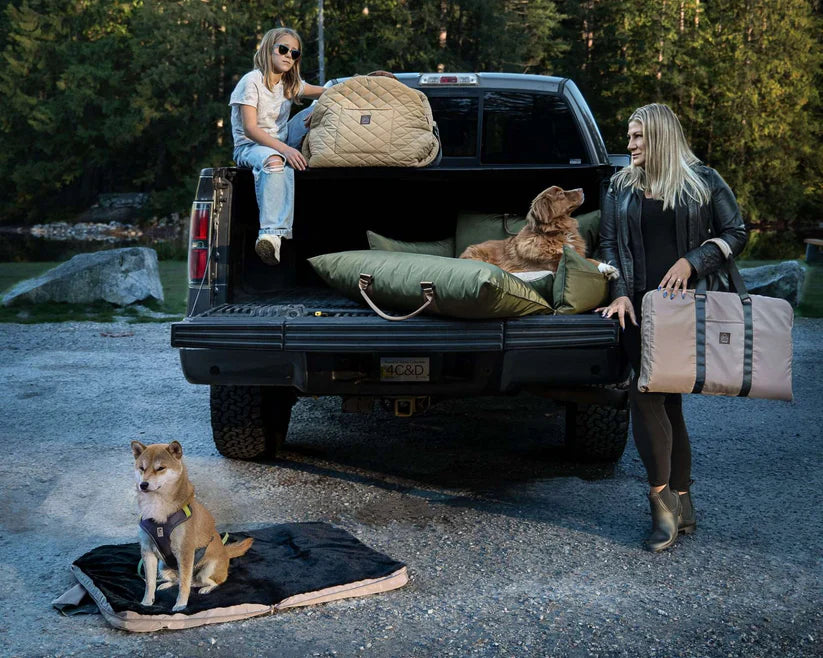 4 Cats & Dogs Gus Travel Pet Bed *SPECIAL ORDER*