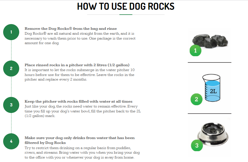 Dog Rocks FINAL SALE