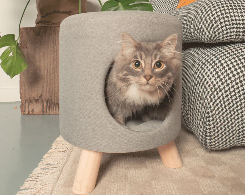 4 Cats & Dogs Wallie Stool *SPECIAL ORDER*