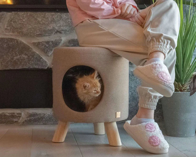 4 Cats & Dogs Wallie Stool *SPECIAL ORDER*