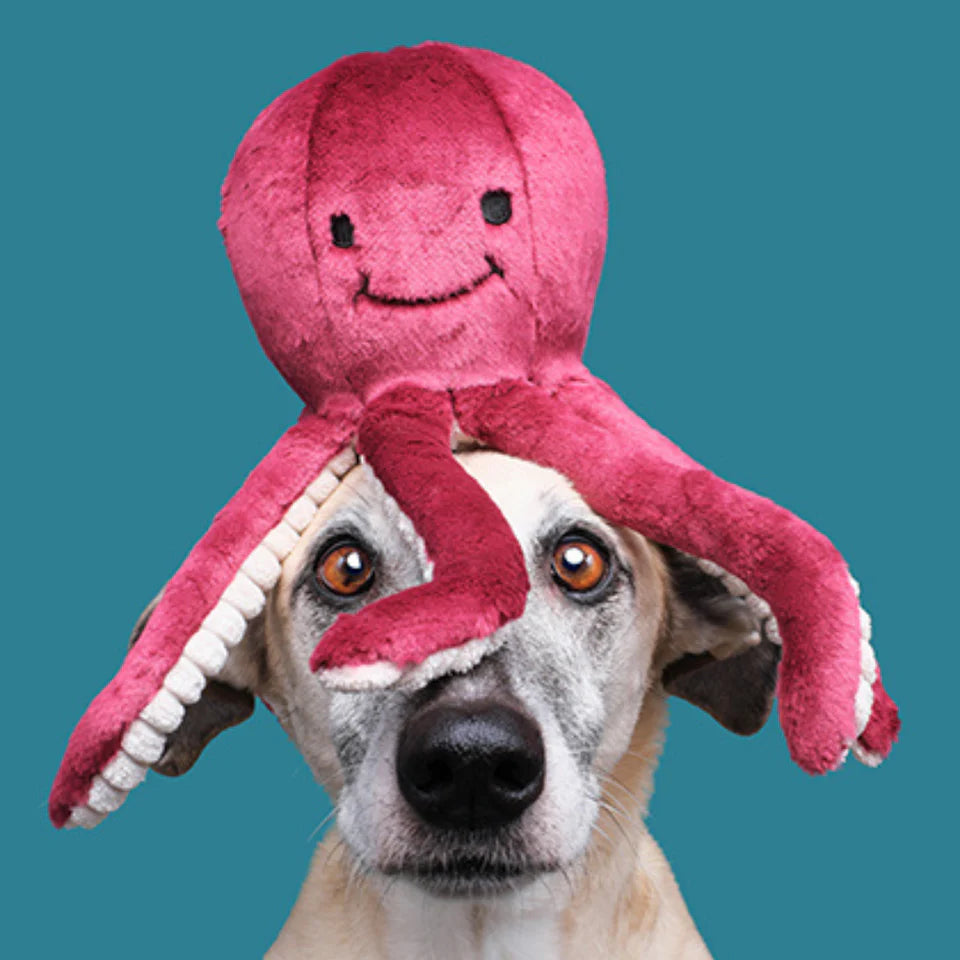 Fluff & Tuff Dog Toy Olympia Octopus