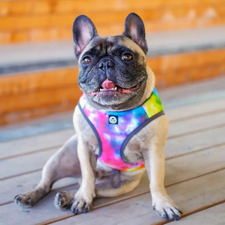 Bark Industry Cooling Vest Rainbow Tie-Dye FINAL SALE