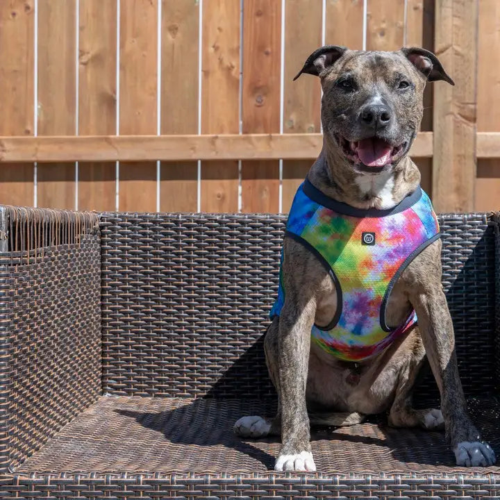 Bark Industry Cooling Vest Rainbow Tie-Dye FINAL SALE