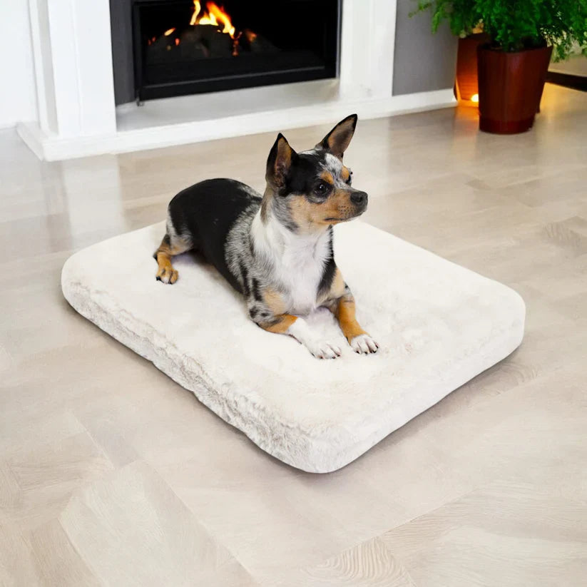 4 Cats & Dogs Pixie Pad Leak-Resistant dog Bed *SPECIAL ORDER*