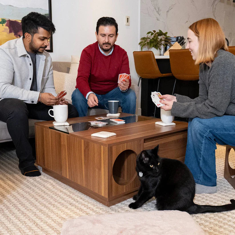 4 Cats & Dogs Coco Coffee Table *SPECIAL ORDER*
