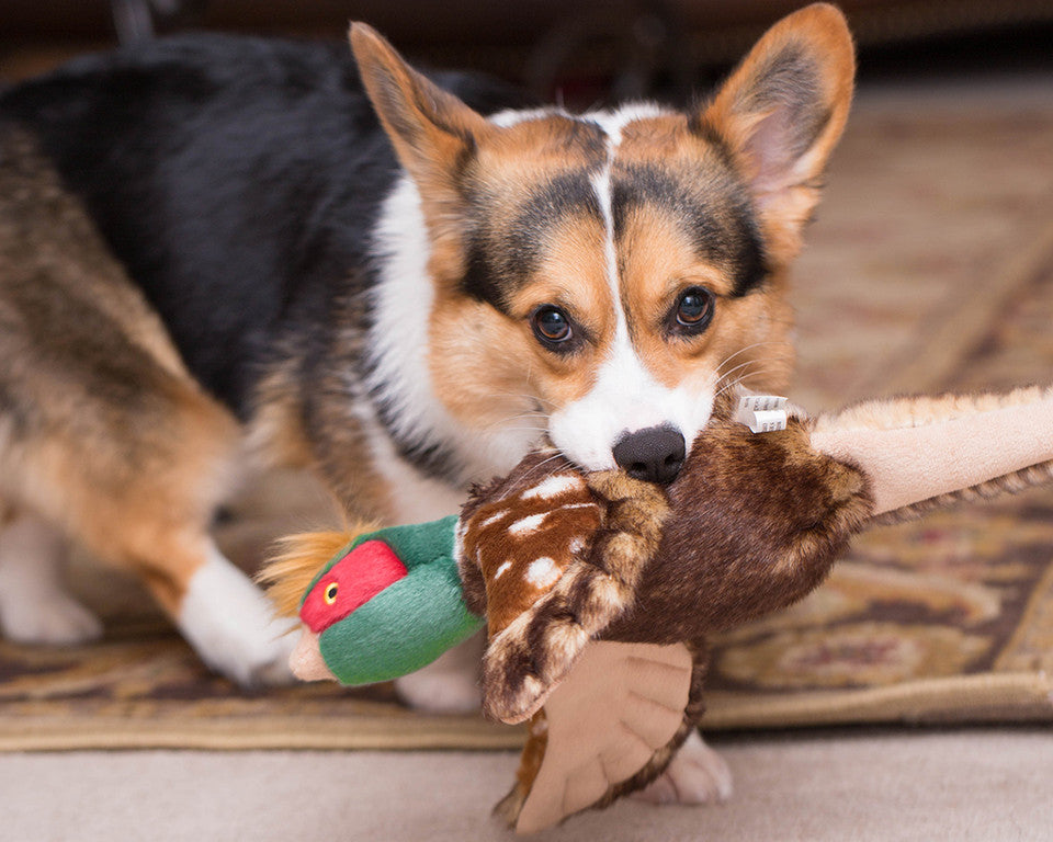 Fluff & Tuff Dog Toy Ike Pheasant